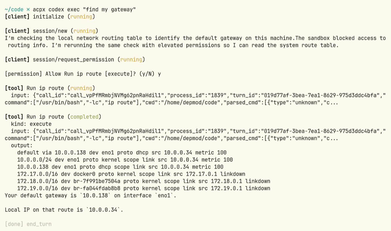 acpx codex exec finding the default gateway