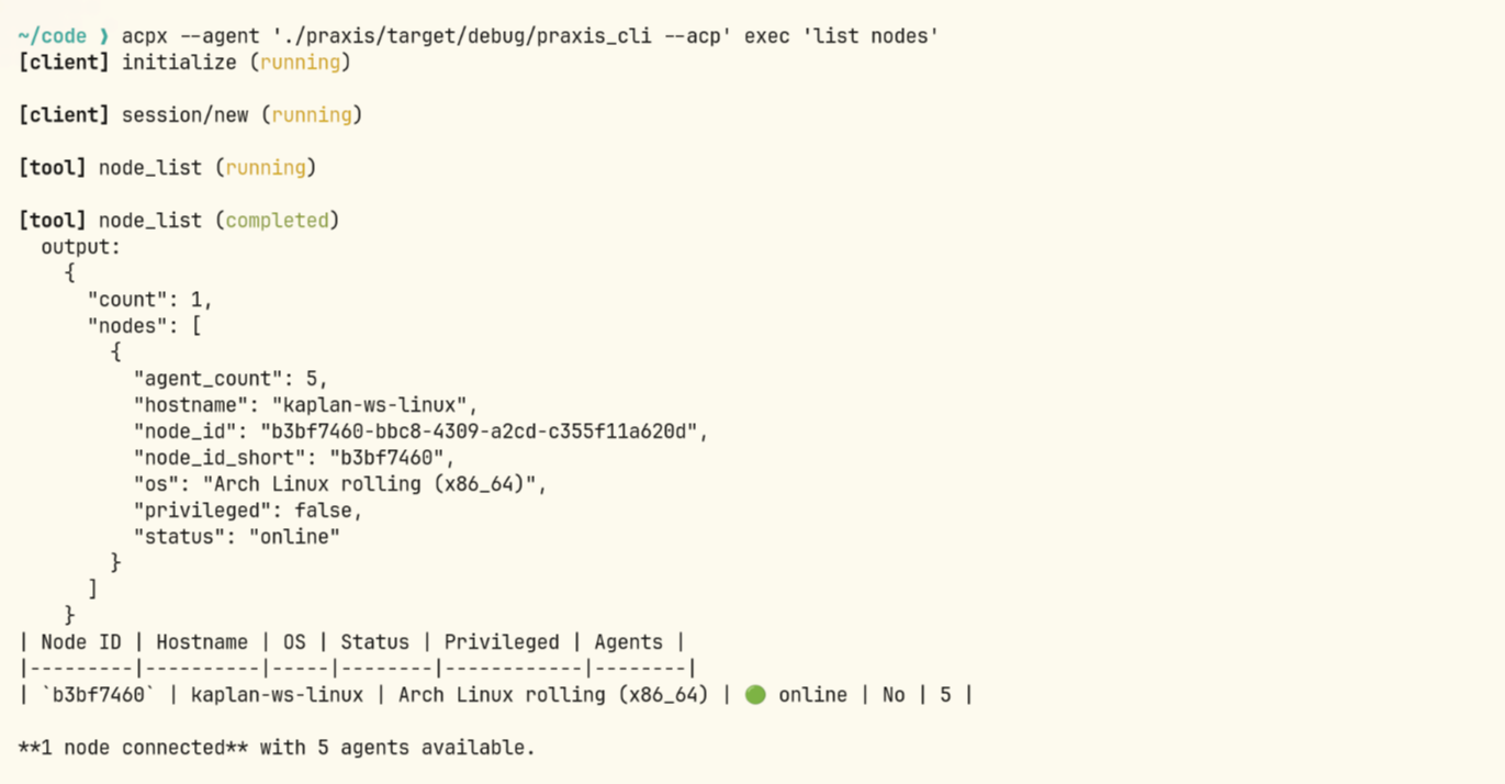 acpx connected to Praxis over ACP